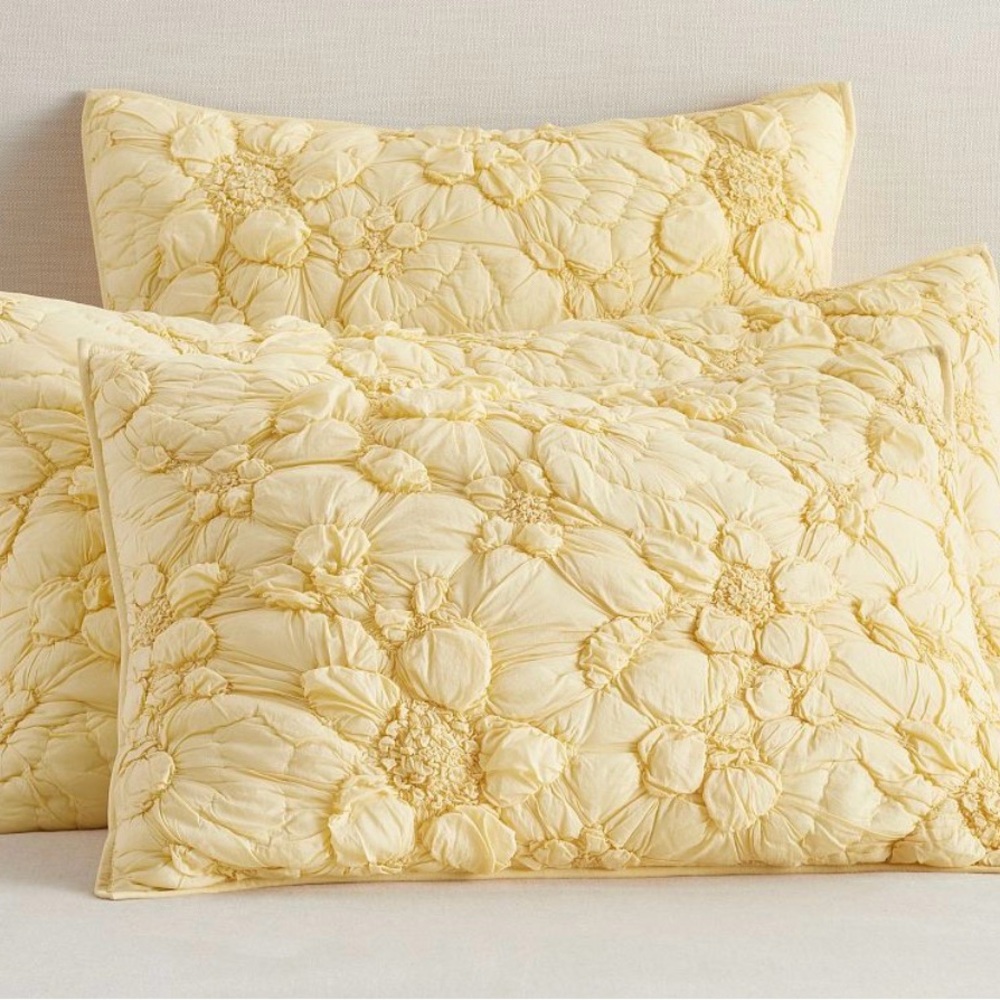 1 Pottery barn Monique Lhuillier Marguerite Yellow quilted sham (King)